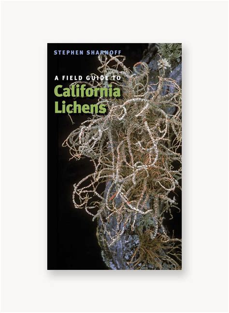A field guide to california lichens. - Alfa romeo 159 repair manual free.rtf.