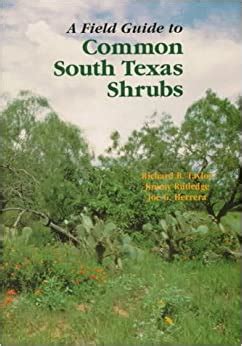 A field guide to common south texas shrubs by richard b taylor. - Industrial timber technology hsc study guide.
