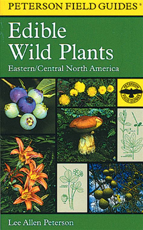 A field guide to edible wild plants eastern and central north america lee peterson. - Manuale di progettazione e produzione di sistemi di bin wu.