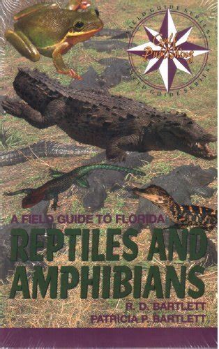 A field guide to florida reptiles and amphibians excluding snakes gulf publishing field guides. - Pfaff 360 260 manuale di manutenzione riparazione servizio di manutenzione.