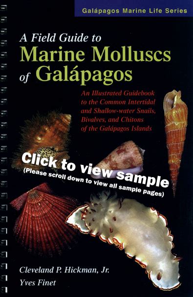 A field guide to marine molluscs of galapagos galapagos marine life series galapagos marine life series. - ́nseignement et la pédagogie en roumanie..