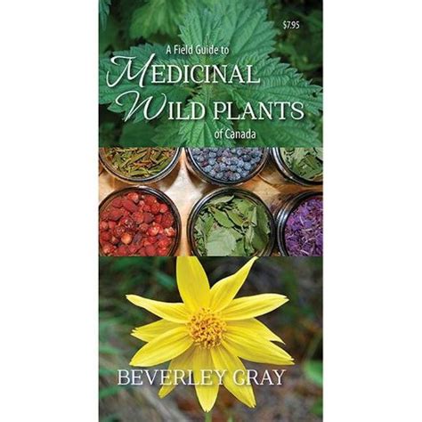 A field guide to medicinal wild plants of canada by beverley gray. - Zf transmission repair manual 5hp19 skoda superb.