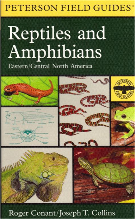 A field guide to reptiles and amphibians eastern and central north america peterson field guides. - Power animal oracle cards practical and powerful guidance from animal spirit guides.