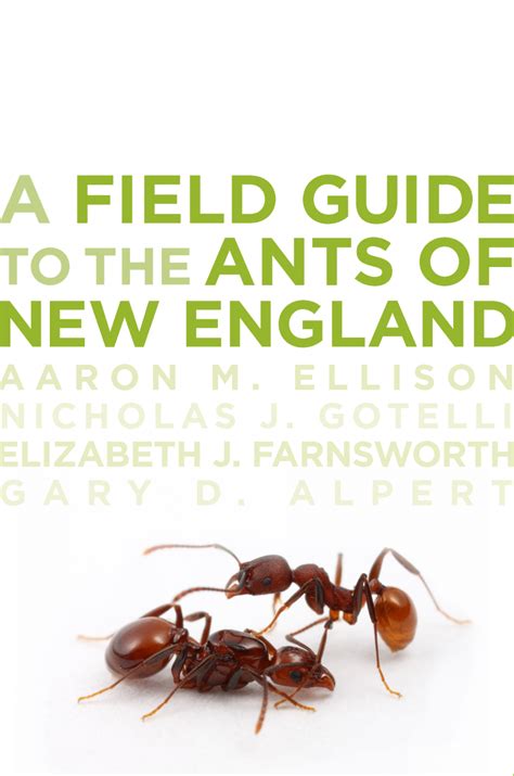 A field guide to the ants of new england. - Wild flowers of britain northern europe collins pocket guide.