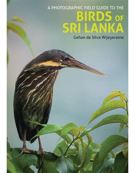 A field guide to the birds of sri lanka. - Insurance handbook for the medical office chapter 15.