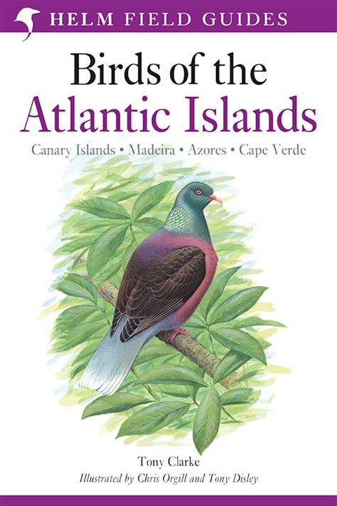 A field guide to the birds of the atlantic islands canary islands madeira azores cape verde helm field guides. - A z guide to boilerplate and commercial clauses second edition.
