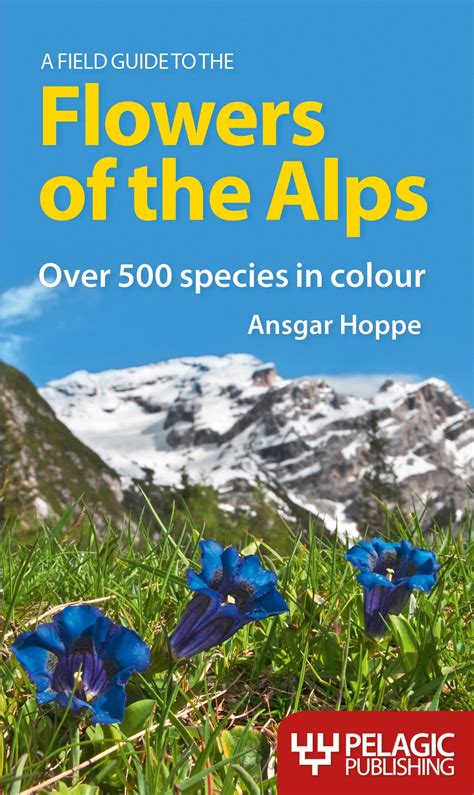 A field guide to the flowers of the alps english and german edition. - Kurze beschreibung einer ganz neuen art einer camerae obsurae.