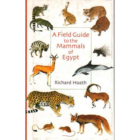 A field guide to the mammals of egypt by richard hoath. - Engine repair manual for hyundai atos.