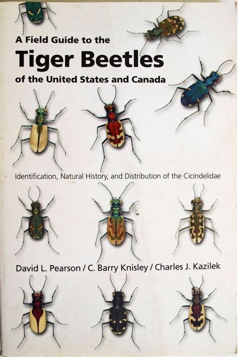 A field guide to the tiger beetles of the united states and canada identification natural history. - 2006 audi a3 cv joint manual.