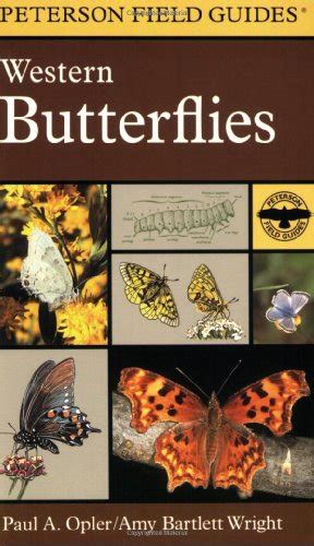 A field guide to western butterflies by paul a opler. - Suprimento de gêneros alimentícios para a cidade de campina grande..