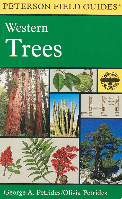 A field guide to western trees peterson field guides 44. - Ford zf 5 speed manual transmission for sale.