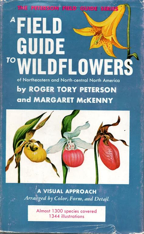 A field guide to wildflowers of northeastern and north central north america a visual approach arranged by color. - Megawords 7 grade 10 11 teachers guide decoding spelling and understanding mulitsyllabic words.