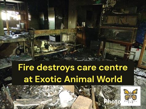 A fire broke out in the... - Exotic Animal World Klapmuts Facebook