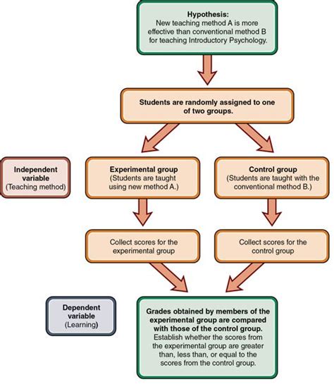 A flowchart that shows the process of an experimental design. It starts with the hypothesis