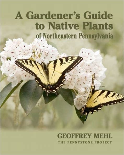 A gardeners guide to native plants of northeastern pennsylvania. - Bmw r1200 twins 04 to 09 haynes service and repair manual.