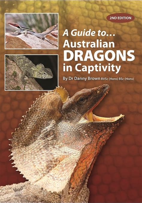 A guide to australian dragons in captivity. - 1995 mercury grand marquis repair manual.