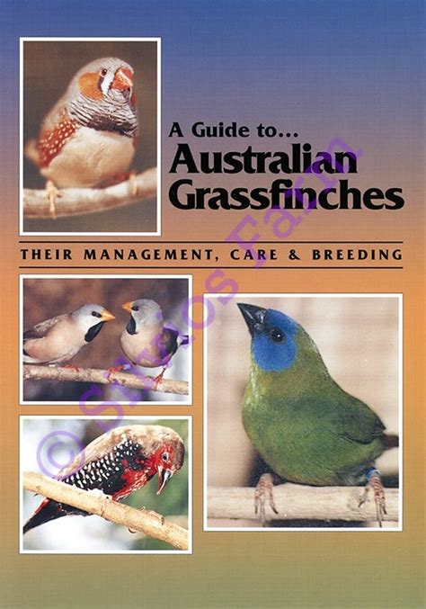 A guide to australian grassfinches their management care and breeding. - Massey ferguson pitman hay mower manual.