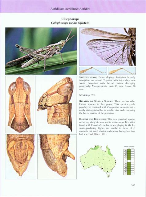 A guide to australian grasshoppers and locusts. - Die nutzung baulicher anlagen als gegenstand baurechtlicher normierung.