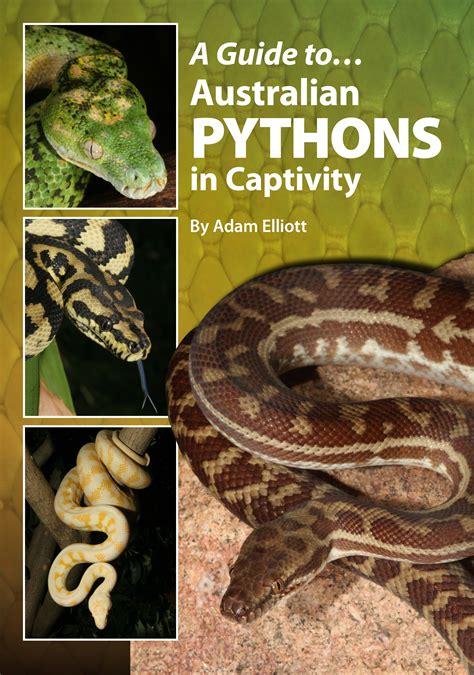 A guide to australian pythons in captivity australian reptile and. - A businessmans guide to the finnish sauna.