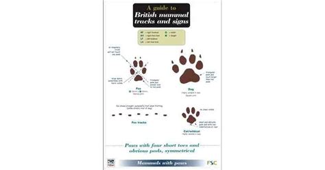 A guide to british mammal tracks and signs. - Introduccion a fisiologia y manipulacion postcosec.