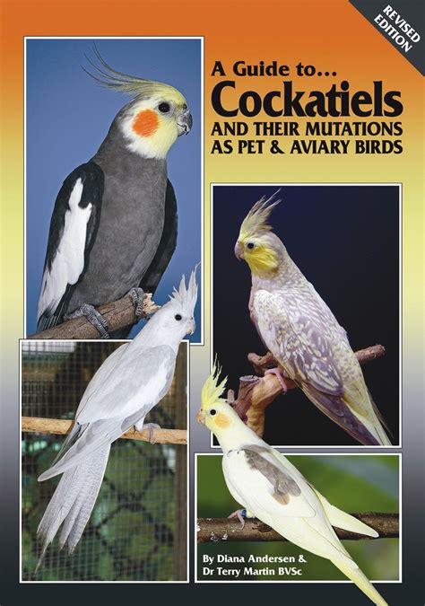 A guide to cockatiels and their mutations as pet and aviary birds. - A vállalati tervezéstől a stratégiai módszerekig.