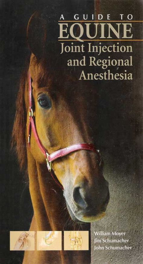 A guide to equine joint injection and regional anesthesia. - Java com en download manual jsp.