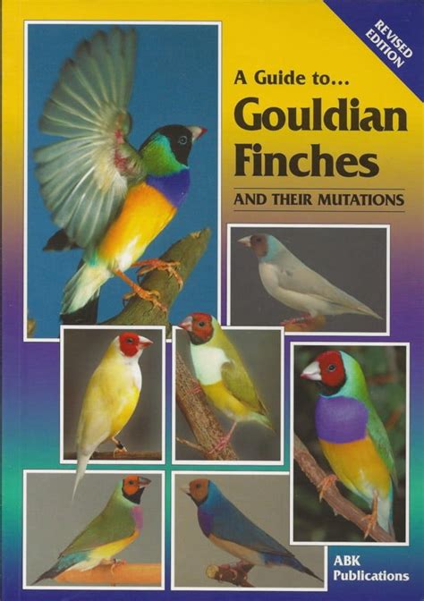 A guide to gouldian finches and their mutations. - Afrikaans sonder grense teachers guide grade 7.