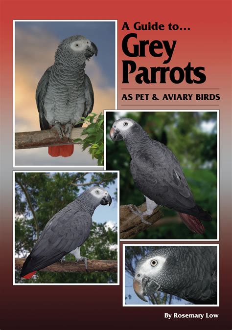 A guide to grey parrots as pet and aviary birds. - Pdf del manuale di ritz carlton per i dipendenti.