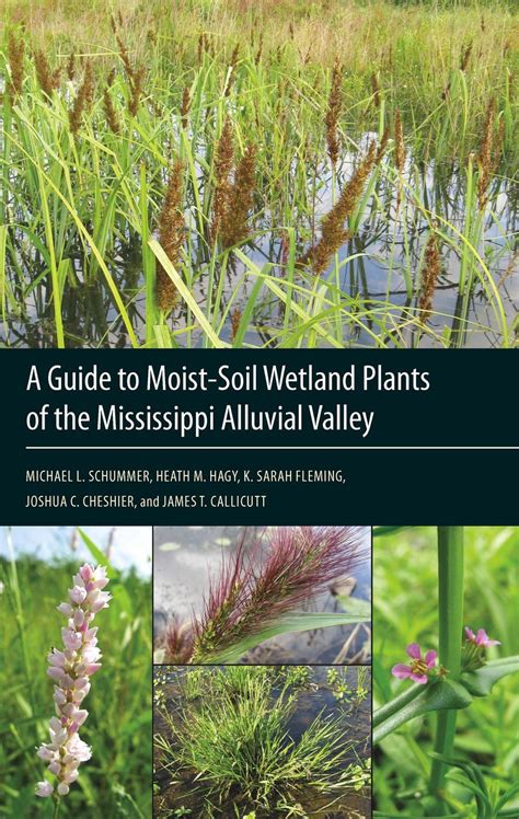 A guide to moist soil wetland plants of the mississippi alluvial valley. - Ford new holland series 10 30 tractor service shop manual.