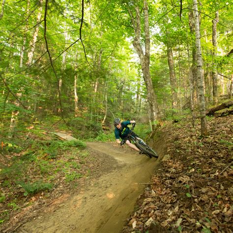 A guide to mountain bike trails in illinois. - Screens of life a critical anthology of film writing from the arab world.