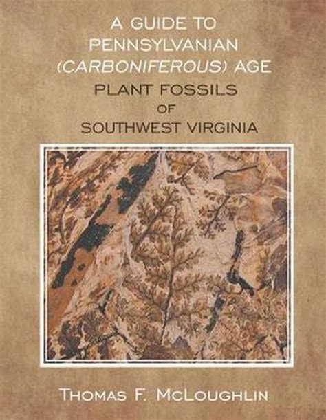 A guide to pennsylvanian carboniferous age plant fossils of southwest virginia thomas f mcloughlin. - Digital marketing handbook a guide to search engine optimization pay per click marketing email marketing content.