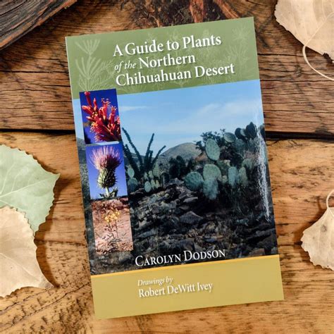 A guide to plants of the northern chihuahuan desert. - Download saab 9 3 2003 2007 service repair manual.