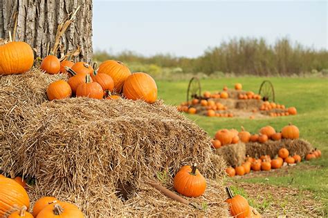 A guide to pumpkin patches, corn mazes and fall fun galore