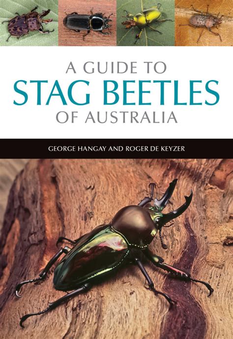 A guide to stag beetles of australia. - Legacy 696cd b garage door opener manual.
