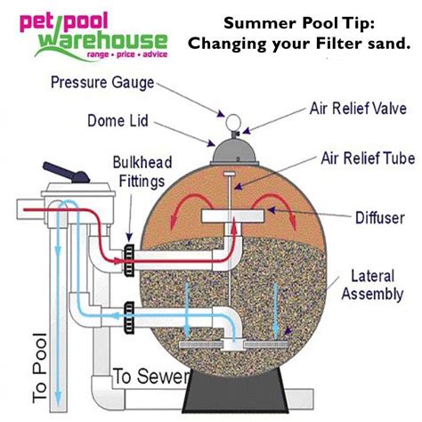 A guide to swimming pool maintenance and filtration systems by e t chan. - Economy today 13th edition solutions manual.