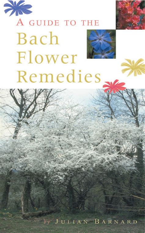 A guide to the bach flower remedies. - Civilization of europe in the renaissance.