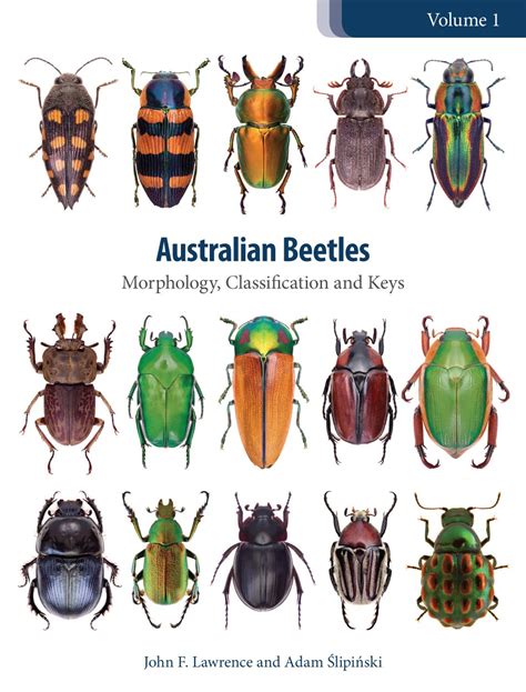 A guide to the beetles of australia. - Hunter wheel balancer dsp9000 parts manual.