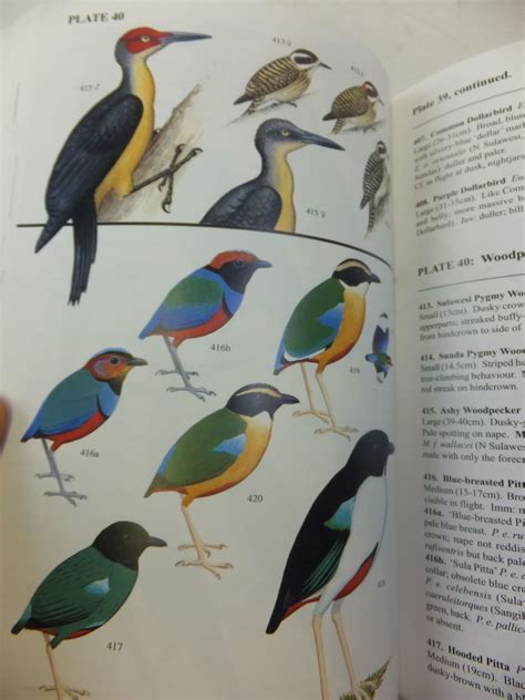 A guide to the birds of wallacea sulawesi the moluccas. - Natus neonatal neoblue blanket service manual.
