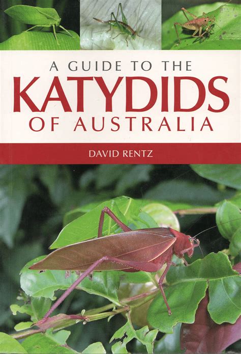 A guide to the katydids of australia. - Solution manual managing business process flows.