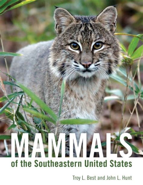 A guide to the mammals of the southeastern united states. - Takeuchi tb045 compact excavator service repair manual download.