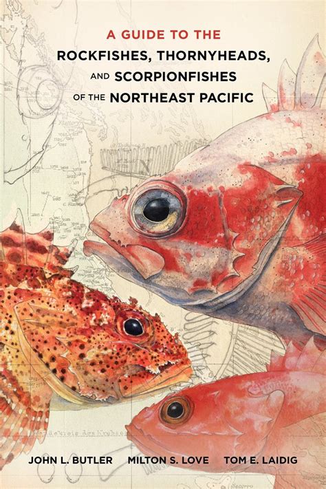 A guide to the rockfishes thornyheads and scorpionfishes of the northeast pacific. - The senior cohousing handbook by charles durrett.