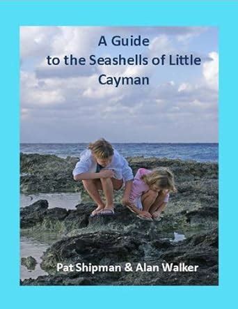A guide to the seashells of little cayman. - Yamaha ec 5000 generator service manual.
