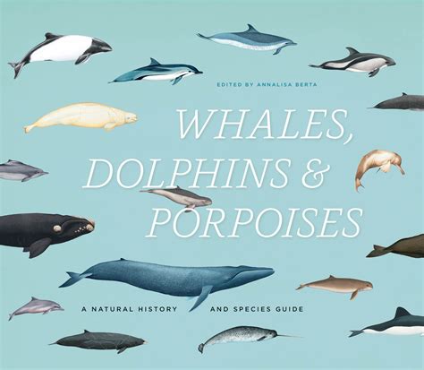 A guide to whales dolphins porpoises. - Advanced international trade theory solution manual.