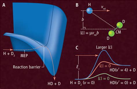 A guided ion beam study of the o 4s nh3 system at hyperthermal energies. - Avian anatomy textbook and colour atlas second edition.