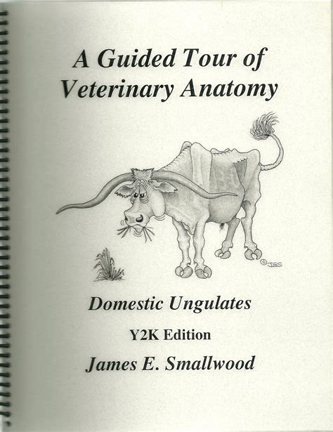 A guided tour of veterinary anatomy domestic ungulates. - The muses are heard an account by.