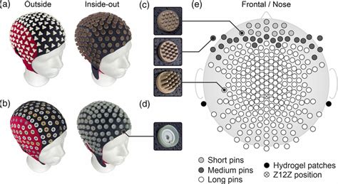 A high-density 256-channel cap for dry electroencephalography