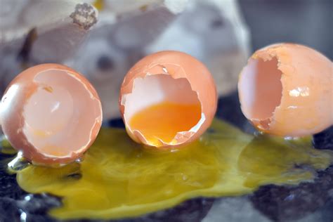 A huevo viejo. 2. Rompe el huevo y examínalo. Si abres el huevo y sale un líquido blanco, es casi seguro que está echado a perder. Los huevos frescos tienen las claras lechosas o transparentes y una yema de un amarillo brillante. Si está echado a perder, la clara será delgada y acuosa o podría lucir rosada y la yema se aplastará. [6] 