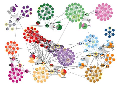 A human functional protein interaction network and its …