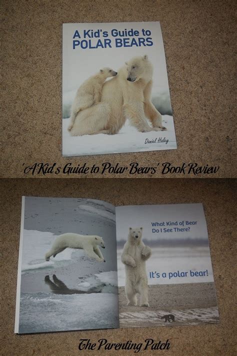 A kids guide to polar bears. - Lily y su bolso de plástico morado.