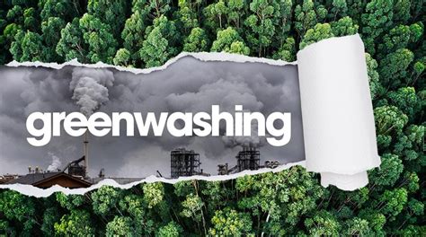A líder não buscou matar iniciativa de greenwashing, declara entidade.